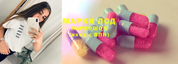 индика Армянск