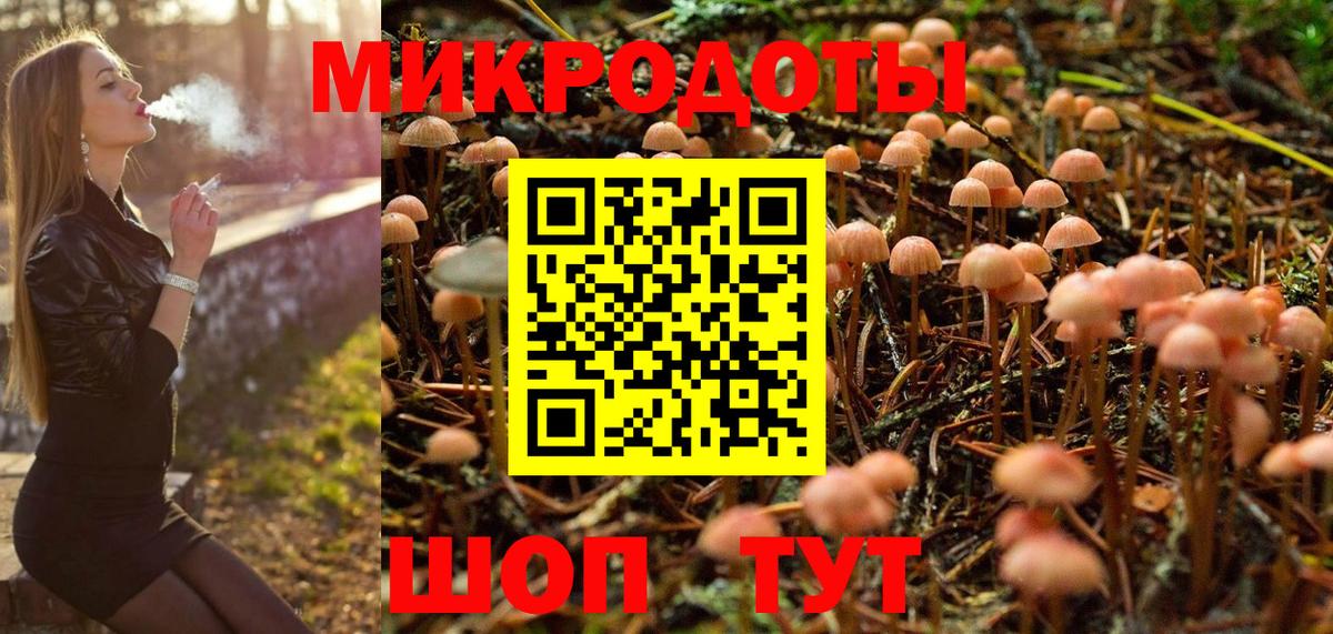 Рубцовск  Псилоцибиновые грибы мухоморы  Вход с VPN 