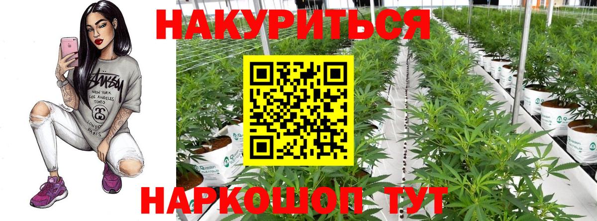 Конопля гибрид  Бошки марихуана AK-47  Вход с VPN  Шишки марихуана VHQ  Рубцовск  Шишки марихуана White Widow 